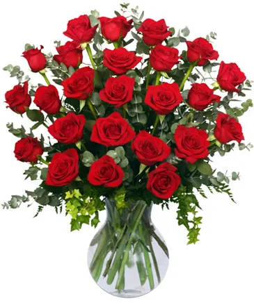 24 Radiant Roses Red Roses Arrangement in Columbia, IL | MEMORY LANE FLORAL