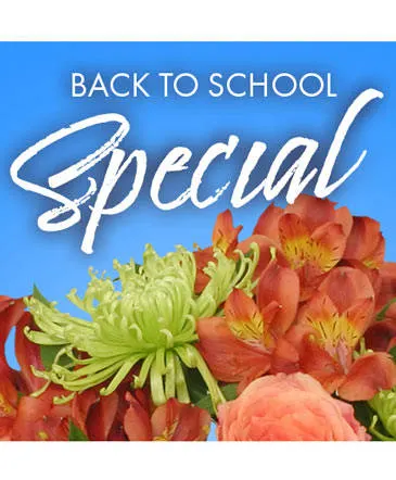 Back to School Special Designer's Choice in Columbia, IL | MEMORY LANE FLORAL