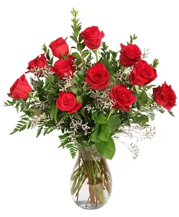 Burning Red Roses Rose Arrangement in Columbia, IL | MEMORY LANE FLORAL