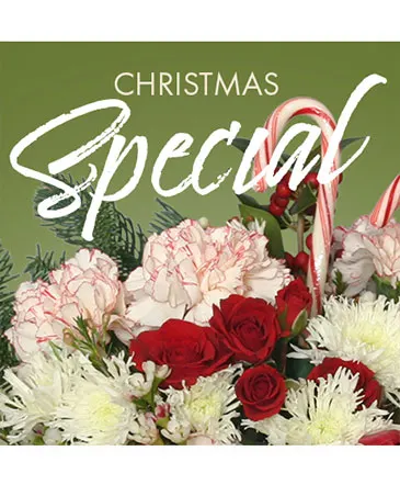 Christmas Special Designer's Choice in Columbia, IL | MEMORY LANE FLORAL