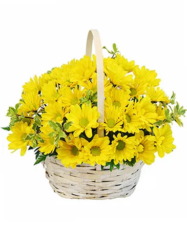 Delightful Smiles Basket of Daisies in Columbia, IL | MEMORY LANE FLORAL