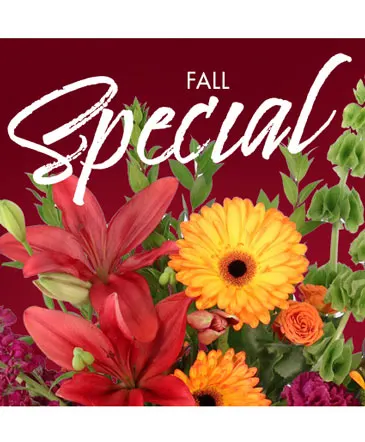 Fall Special Designer's Choice in Columbia, IL | MEMORY LANE FLORAL
