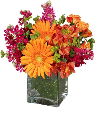 Floral Exuberance Arrangement in Columbia, IL | MEMORY LANE FLORAL