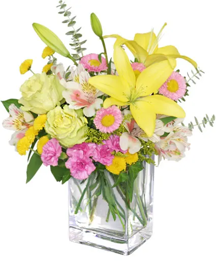 Floral Freshness Spring Flowers