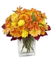 AMBER WAVES Arrangement