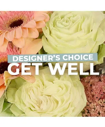 Get Well Florals Designer's Choice in Columbia, IL | MEMORY LANE FLORAL