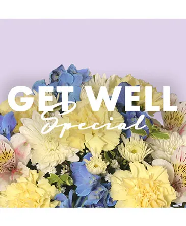 Get Well Special Designer's Choice in Columbia, IL | MEMORY LANE FLORAL