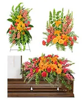 Golden Triumph Sympathy Collection