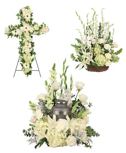 Graceful Eternity Sympathy Collection