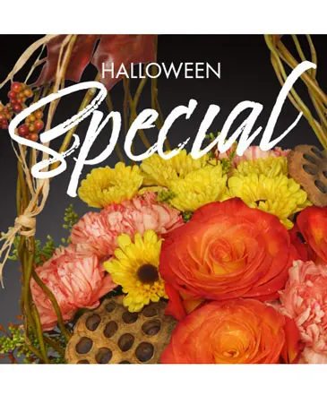 Halloween Special Designer's Choice in Columbia, IL | MEMORY LANE FLORAL