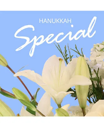 Hanukkah Special Designer's Choice in Columbia, IL | MEMORY LANE FLORAL