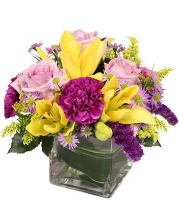 HIGH IMPACT Arrangement in Columbia, IL | MEMORY LANE FLORAL