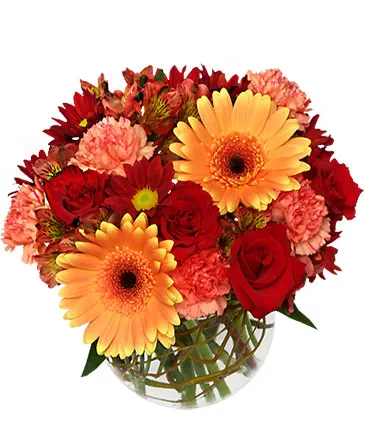 Hot & Spicy Vase of Flowers in Columbia, IL | MEMORY LANE FLORAL