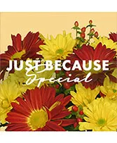 Just Because Special Designer's Choice