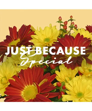 Just Because Special Designer's Choice in Columbia, IL | MEMORY LANE FLORAL