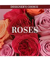 Lovely Roses Designer's Choice