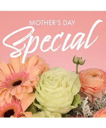 Mother's Day Special Designer's Choice in Columbia, IL | MEMORY LANE FLORAL