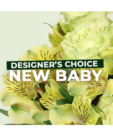 New Baby Flowers Designer's Choice in Columbia, IL | MEMORY LANE FLORAL