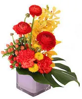 Orchid Cascade Floral Design