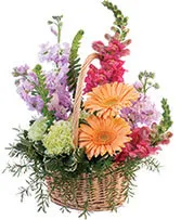 Pleasant Pastels Basket Arrangement