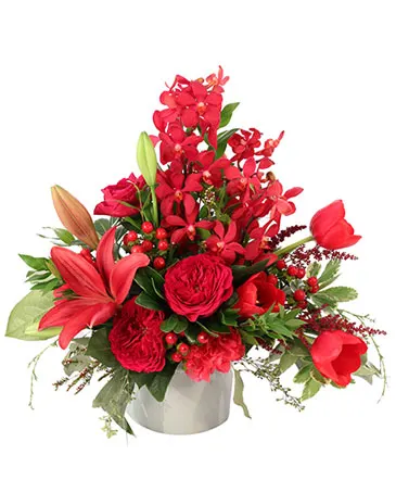 Ruby Allure Floral Design in Columbia, IL | MEMORY LANE FLORAL