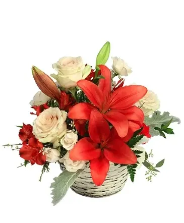 Serene Scarlet & Ivory Basket Arrangement in Columbia, IL | MEMORY LANE FLORAL