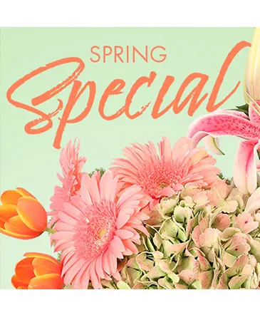Special of Spring Florals Designer's Choice in Columbia, IL | MEMORY LANE FLORAL
