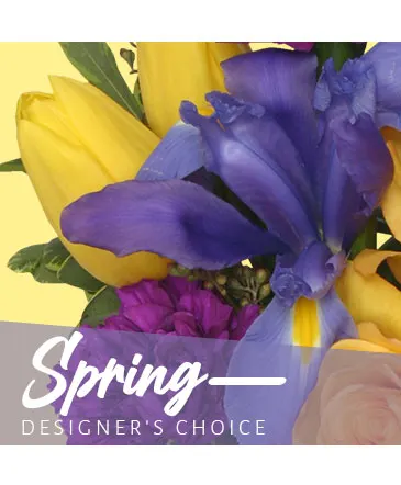 Spring Designer's Choice in Columbia, IL | MEMORY LANE FLORAL