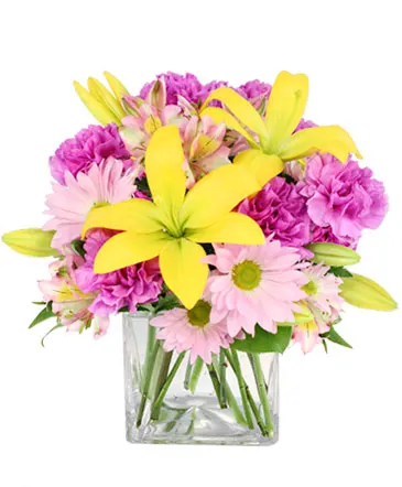 Spring Forward Arrangement in Columbia, IL | MEMORY LANE FLORAL