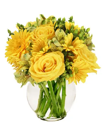 Sunshine Perfection Floral Arrangement in Columbia, IL | MEMORY LANE FLORAL