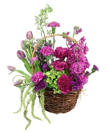 Tasteful Plums Basket Arrangement in Columbia, IL | MEMORY LANE FLORAL