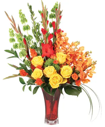 Tawny Orchid Vision Flower Arrangement in Columbia, IL | MEMORY LANE FLORAL