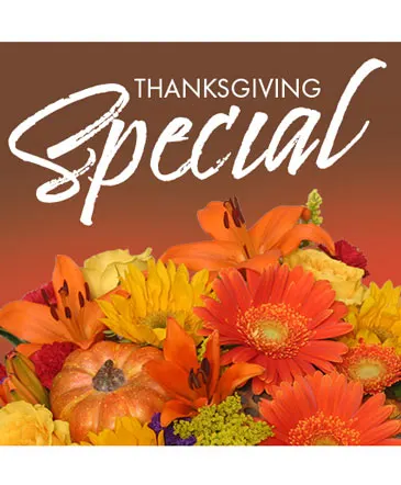 Thanksgiving Special Designer's Choice in Columbia, IL | MEMORY LANE FLORAL