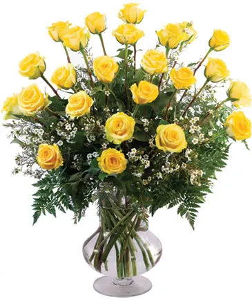 Two Dozen Yellow Roses Vase Arrangement  in Columbia, IL | MEMORY LANE FLORAL