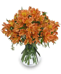 PERSIMMON GROVE Fall Flowers