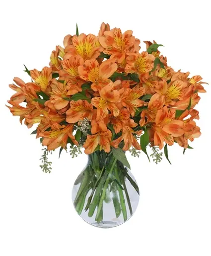 PERSIMMON GROVE Fall Flowers