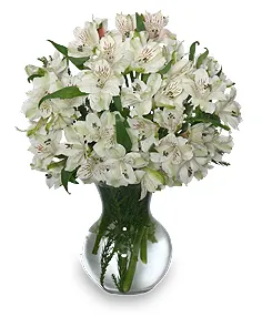 FLEECY WHITE Flower Arrangement in Columbia, IL | MEMORY LANE FLORAL
