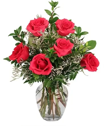 Vibrant Fuchsia Roses Rose Arrangement in Columbia, IL | MEMORY LANE FLORAL