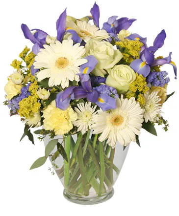 Welcome Baby Boy Flower Arrangement in Columbia, IL | MEMORY LANE FLORAL