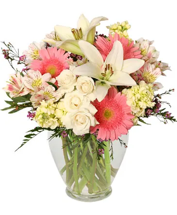 Welcome Baby Girl Flower Arrangement in Columbia, IL | MEMORY LANE FLORAL