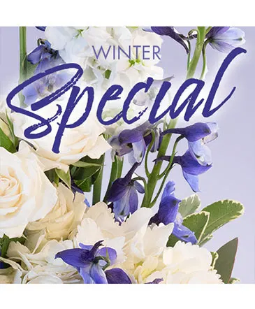 Winter Favorite Designer's Choice in Columbia, IL | MEMORY LANE FLORAL